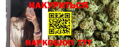 крисы Шелехов