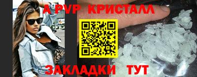 крисы Шелехов