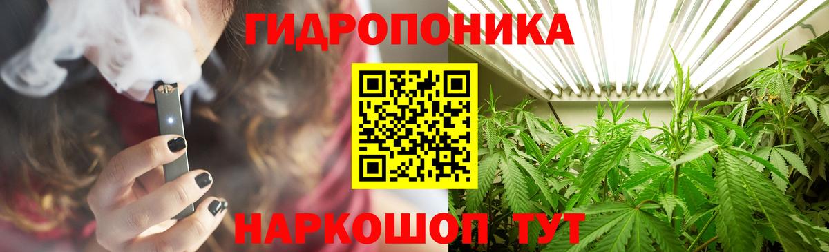 Каннабис OG Kush Большой Камень
